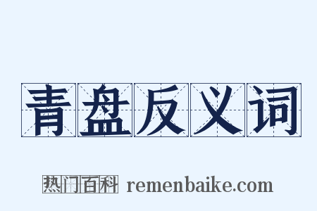 青盘反义词是什么意思的图片